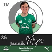 Portrait Jannik Meyer