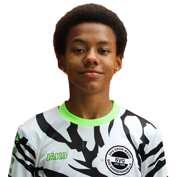 Chipo Lenard Siavwapa