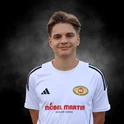 Profilfoto von Laurenz Fach