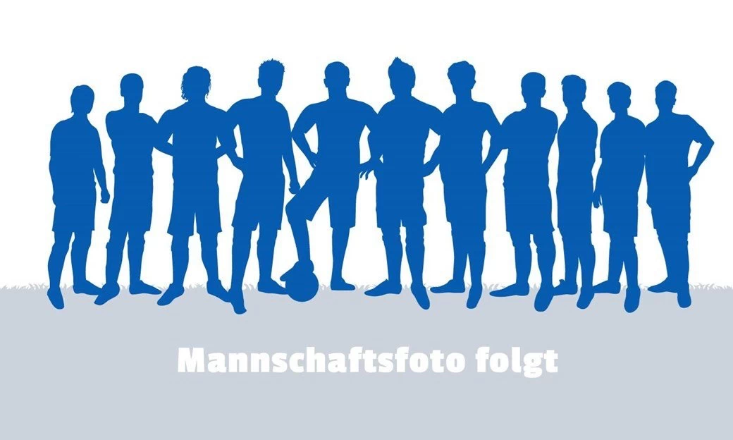 B3 - 2010/2011